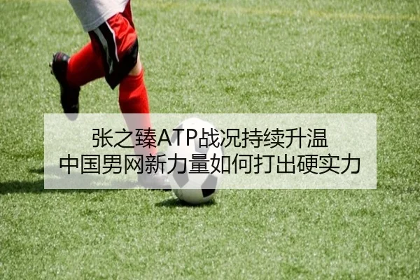 张之臻ATP战况持续升温 中国男网新力量如何打出硬实力